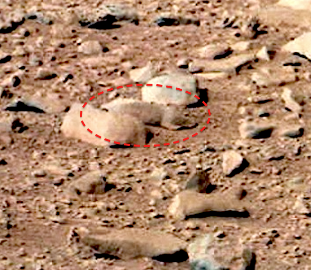 Mars Rover Discovers Squirrel on Mars