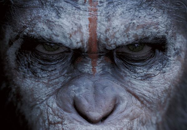 First Trailer for ‘Dawn of the Planet of the Apes’ has Arrived