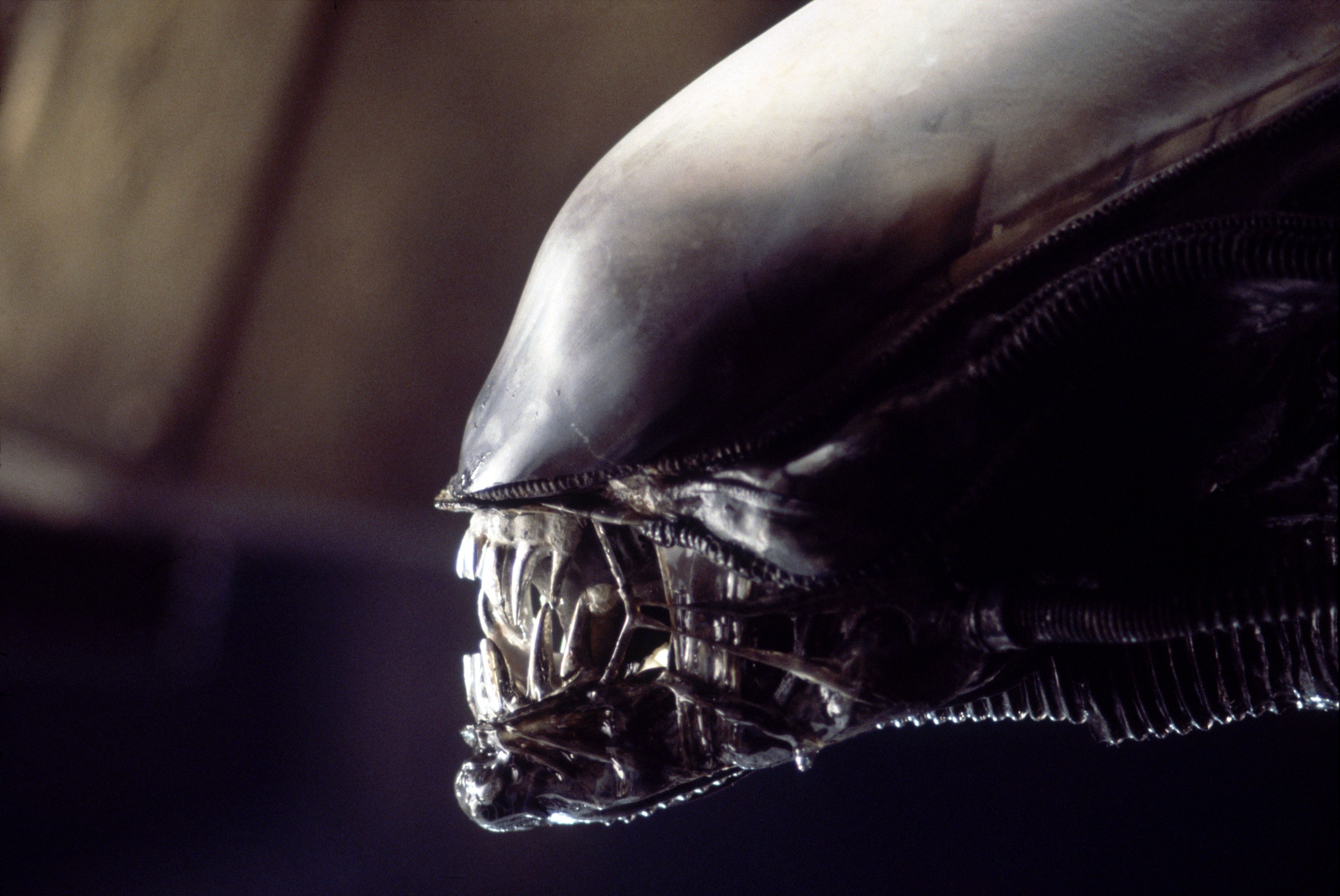 Neill Blomkamp Officially Directing Next Alien Movie