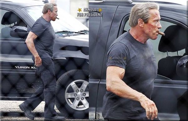 Arnold Schwarzenegger pics courtesy of Facebook