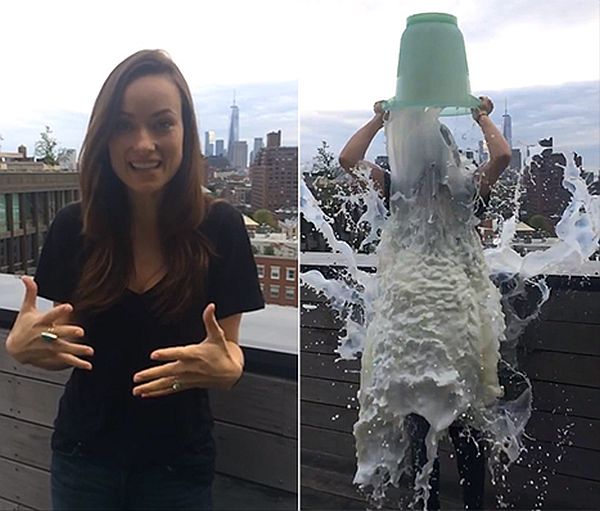 Breast Feeding to ALS Ice Bucket Challenge, We Love Olivia Wilde!