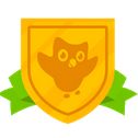 34-Duolingo