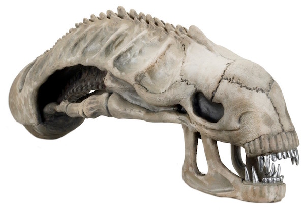Now You Can Mount a Xenomorph Skull on Your Wall, If That's Something You'd Enjoy Looking at Every Day