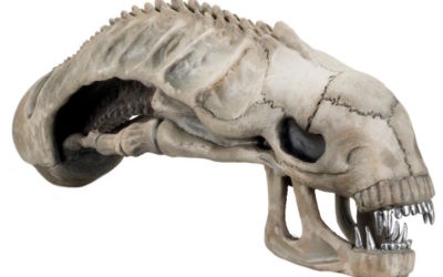 Now You Can Mount a Xenomorph Skull on Your Wall, If That's Something You'd Enjoy Looking at Every Day