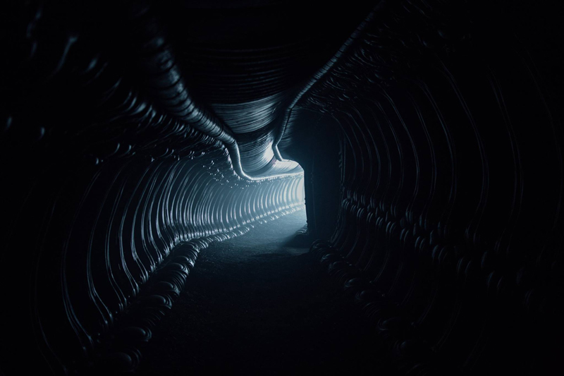 Another New Pic For Alien: Covenant Invites You Down A Dark Corridor