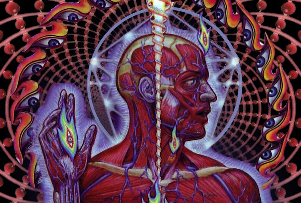 Revisiting Tool’s Lateralus and its Fibonacci infused beat and lyrics